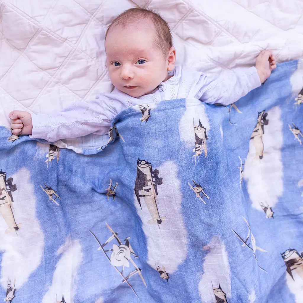 Airplane hot sale swaddle blanket