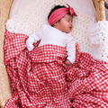 Red Gingham Swaddle - main product photo