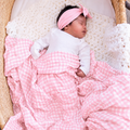 Pink Gingham Swaddle - main product photo