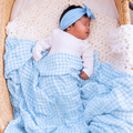 Blue Gingham Swaddle - main product photo