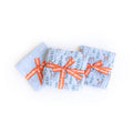 Blitzen & Nova Blue Gift Set - main product photo