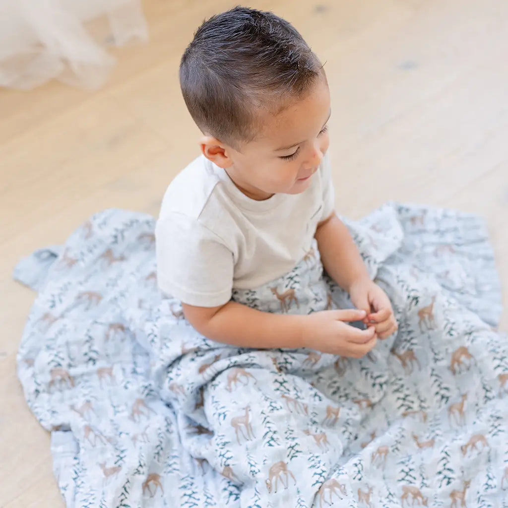 Blitzen & Nova Blue Blanket