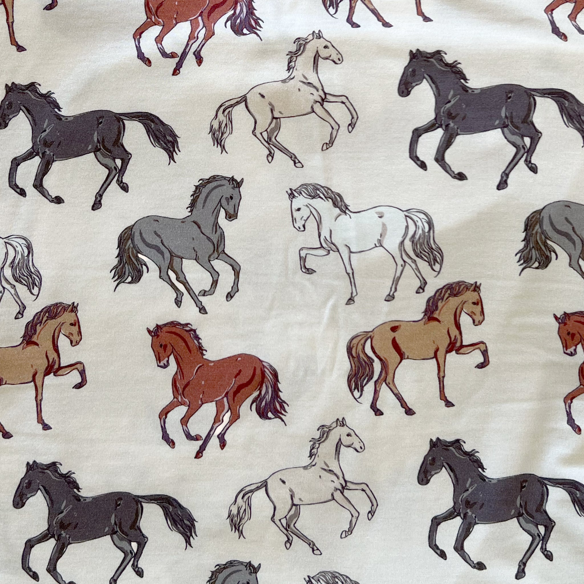 Hudson Beanie Swaddle Set