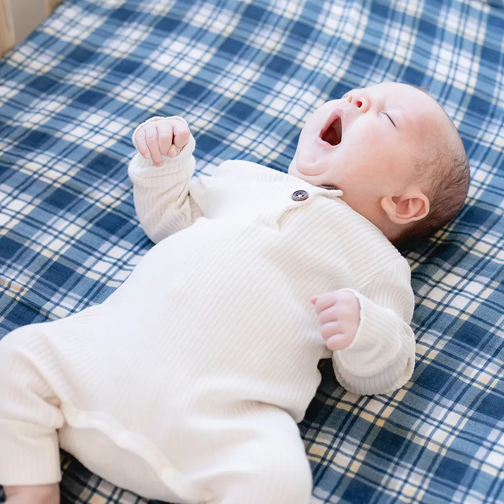 Plaid baby shop boy bedding