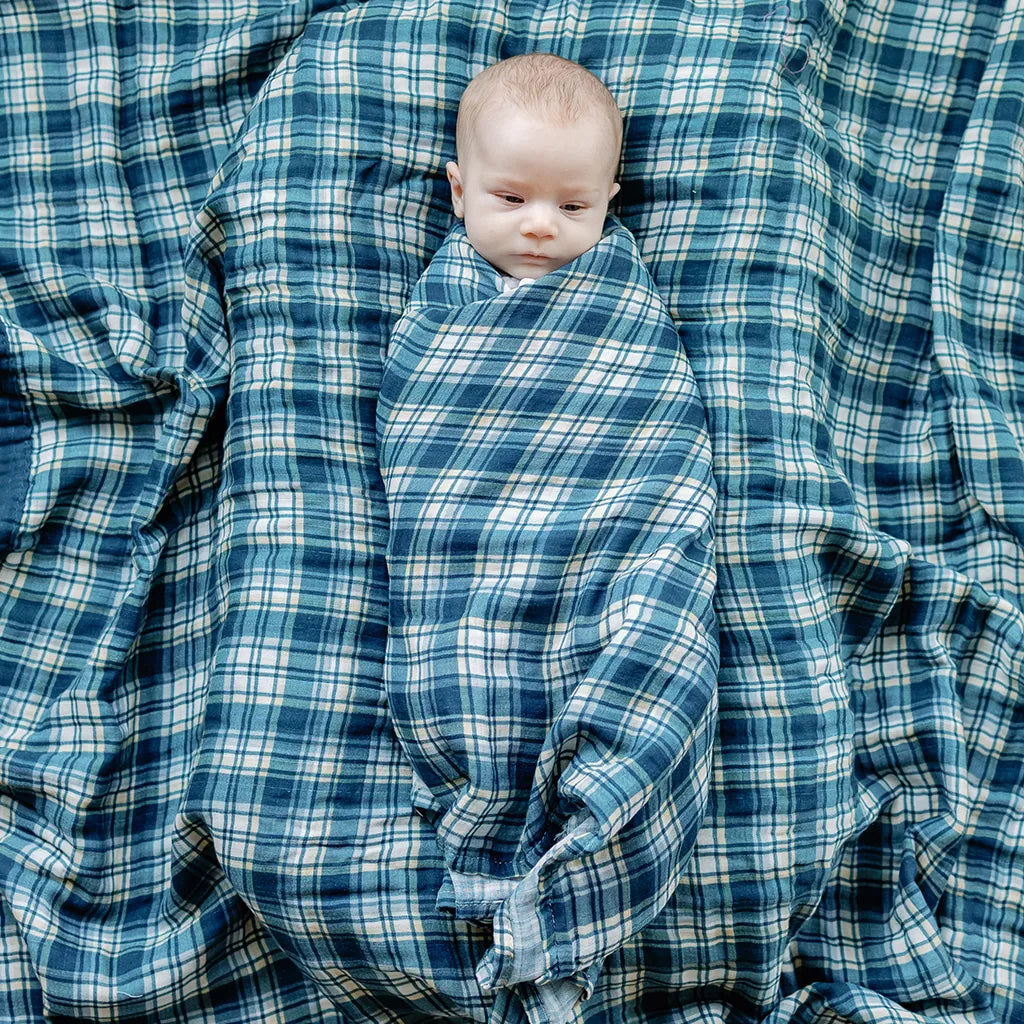 Plaid baby best sale boy bedding