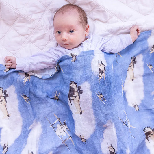 Maverick Airplane Swaddle