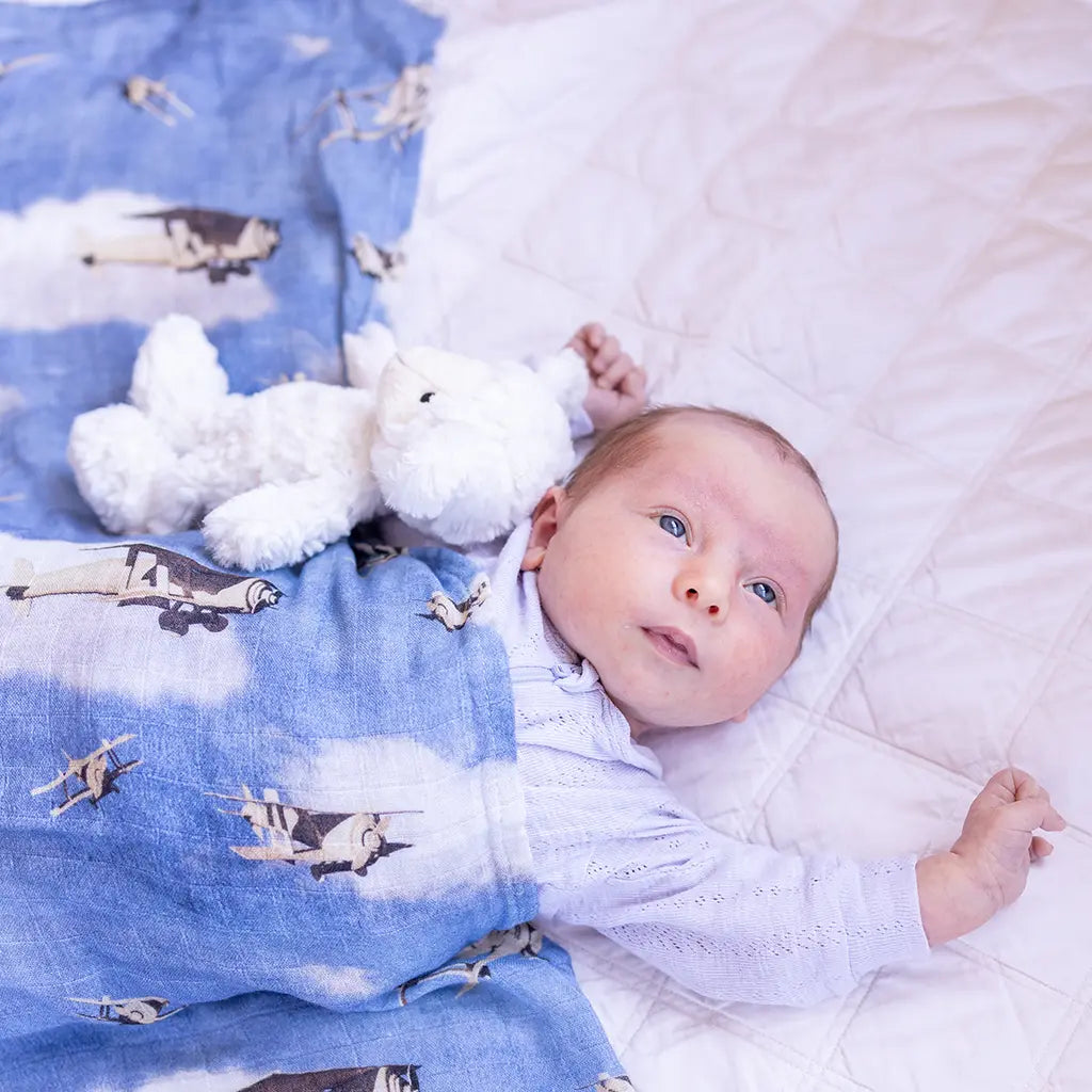 Airplane swaddle hot sale