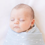 Blitzen & Nova Blue Gift Set